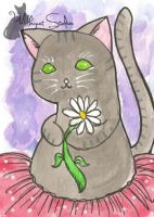 tu tu kitty with a flower